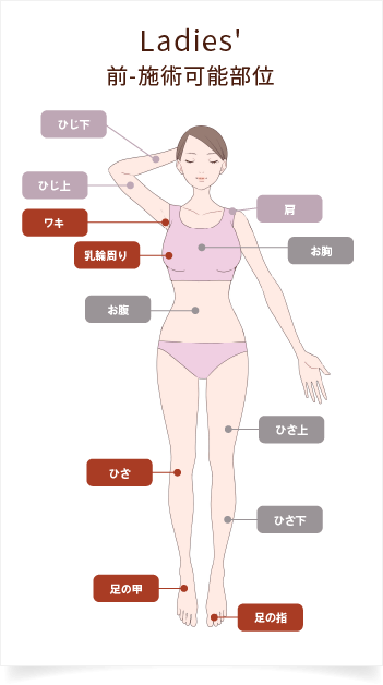 部位別料金：レディース前-施術可能部位