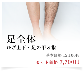足全体（ひざ上下・足の甲・指）